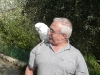 Israel, parrots